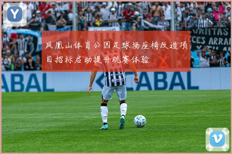 凤凰山体育公园足球场座椅改造项目招标启动提升观赛体验